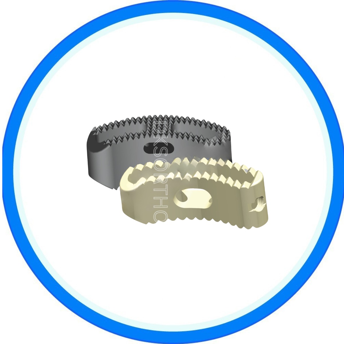 Ortho